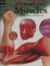 Under The Microscope Muscles